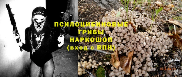 крисы Баксан