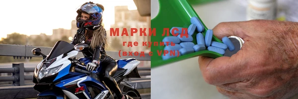 крисы Баксан