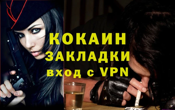 крисы Баксан