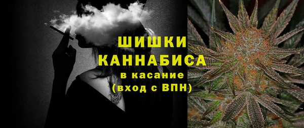 стаф Балахна