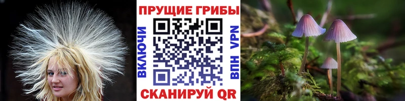 hydra ТОР  Верхоянск  Псилоцибиновые грибы Cubensis 
